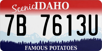 ID license plate 7B7613U