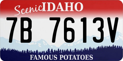 ID license plate 7B7613V