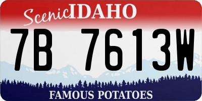 ID license plate 7B7613W