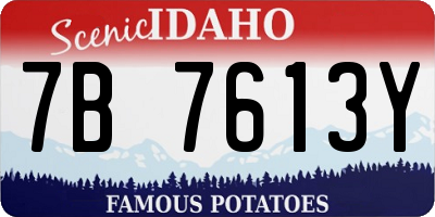 ID license plate 7B7613Y