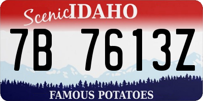 ID license plate 7B7613Z