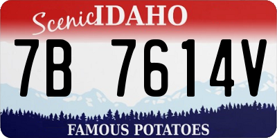 ID license plate 7B7614V