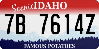 ID license plate 7B7614Z