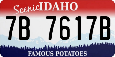 ID license plate 7B7617B