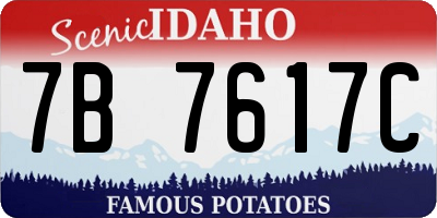 ID license plate 7B7617C