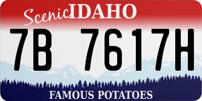 ID license plate 7B7617H