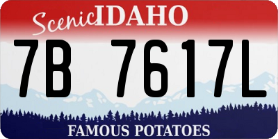 ID license plate 7B7617L