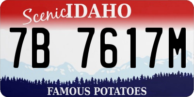 ID license plate 7B7617M