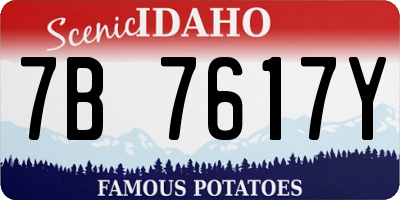 ID license plate 7B7617Y