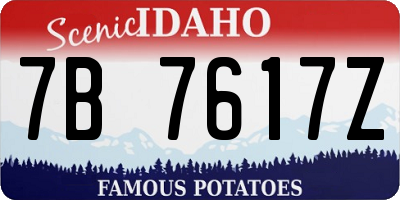 ID license plate 7B7617Z