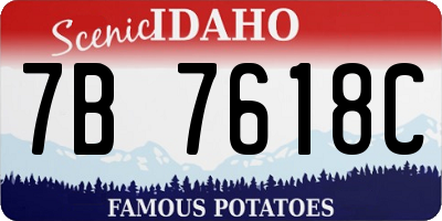 ID license plate 7B7618C