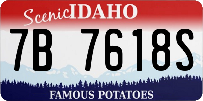 ID license plate 7B7618S