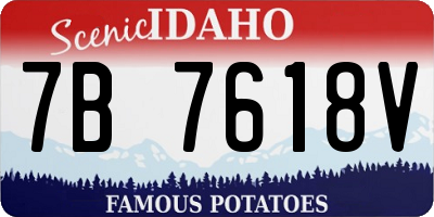 ID license plate 7B7618V