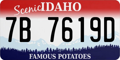 ID license plate 7B7619D