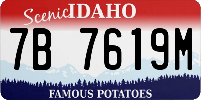 ID license plate 7B7619M