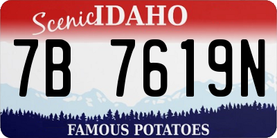 ID license plate 7B7619N