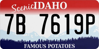 ID license plate 7B7619P