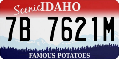 ID license plate 7B7621M