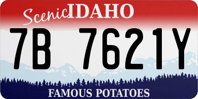ID license plate 7B7621Y