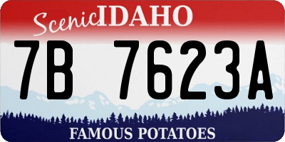 ID license plate 7B7623A