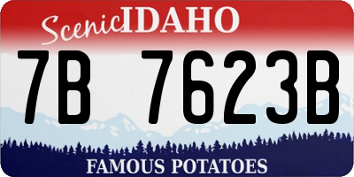 ID license plate 7B7623B