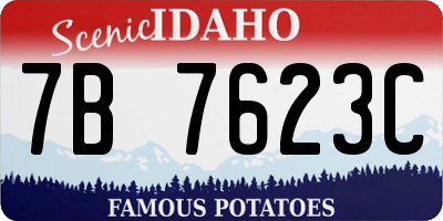 ID license plate 7B7623C