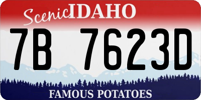 ID license plate 7B7623D