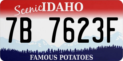 ID license plate 7B7623F
