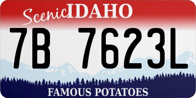 ID license plate 7B7623L