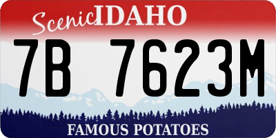 ID license plate 7B7623M