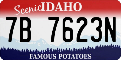 ID license plate 7B7623N