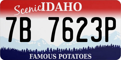 ID license plate 7B7623P