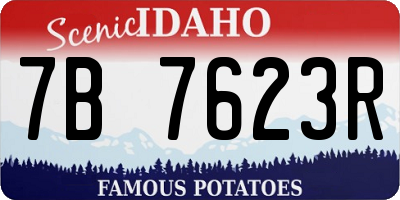 ID license plate 7B7623R