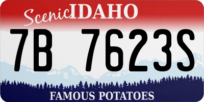 ID license plate 7B7623S