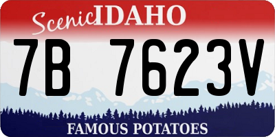 ID license plate 7B7623V