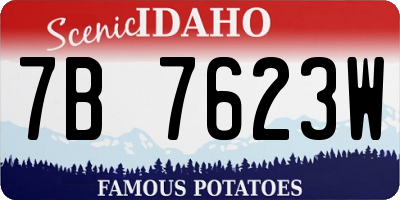 ID license plate 7B7623W