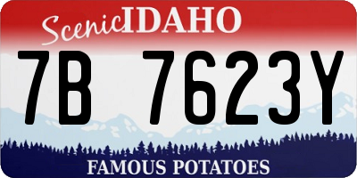 ID license plate 7B7623Y