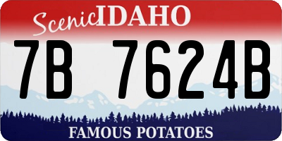 ID license plate 7B7624B