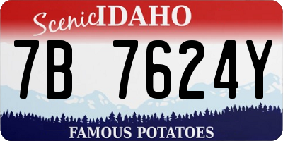 ID license plate 7B7624Y