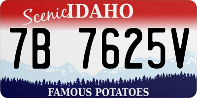 ID license plate 7B7625V