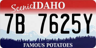 ID license plate 7B7625Y