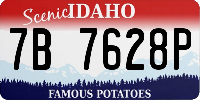 ID license plate 7B7628P