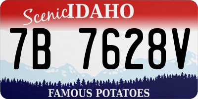 ID license plate 7B7628V