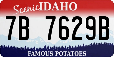 ID license plate 7B7629B