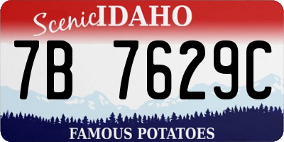 ID license plate 7B7629C