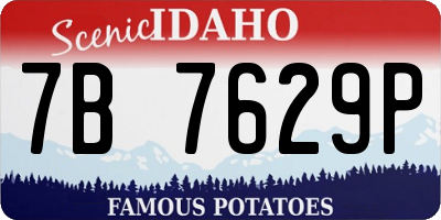 ID license plate 7B7629P