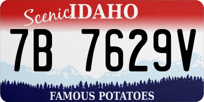 ID license plate 7B7629V
