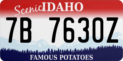 ID license plate 7B7630Z