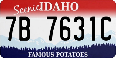 ID license plate 7B7631C