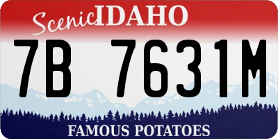 ID license plate 7B7631M